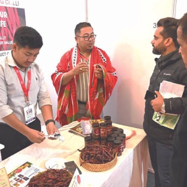 शिमला में यहां लगा जीआई महोत्सव, 29 मार्च…