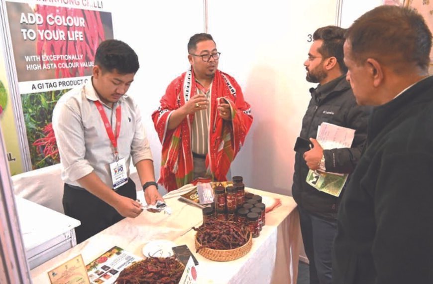 शिमला में यहां लगा जीआई महोत्सव, 29 मार्च…