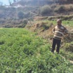सूरज का ऐसा इस्तेमाल किया कि आमदनी में हुआ इजाफा …