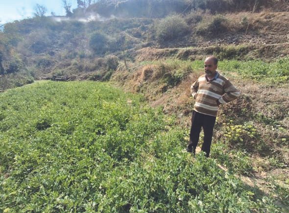 सूरज का ऐसा इस्तेमाल किया कि आमदनी में हुआ इजाफा …